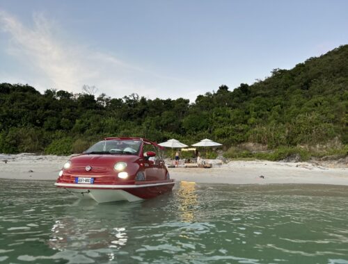 IMG_5006 IMG_5006